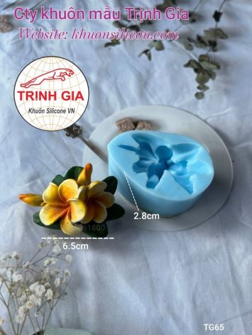 Khuôn silicone rau câu Chùm Hoa Sứ TG65