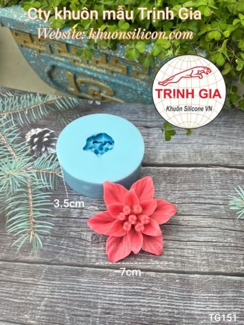 Khuôn rau câu Hoa 6 cánh TG151